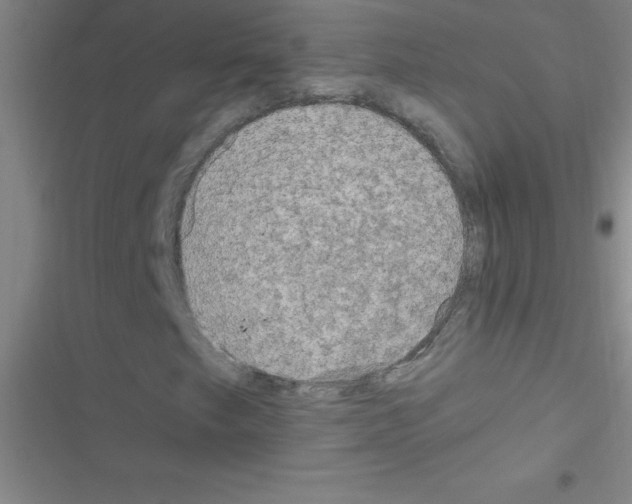 X0000116591249201001211319