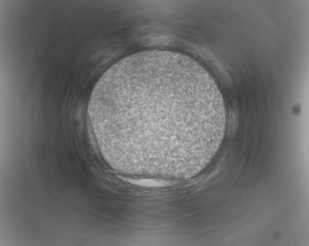 X0000116591250201001211319