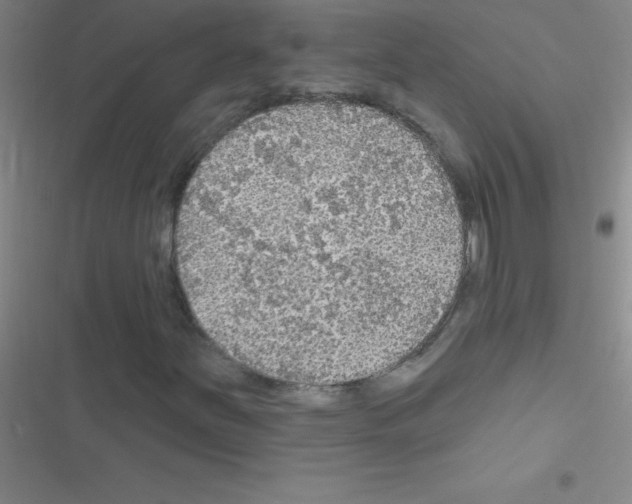 X0000116591251201001211319