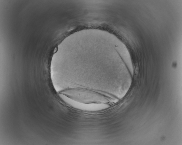 X0000116591252201001211319