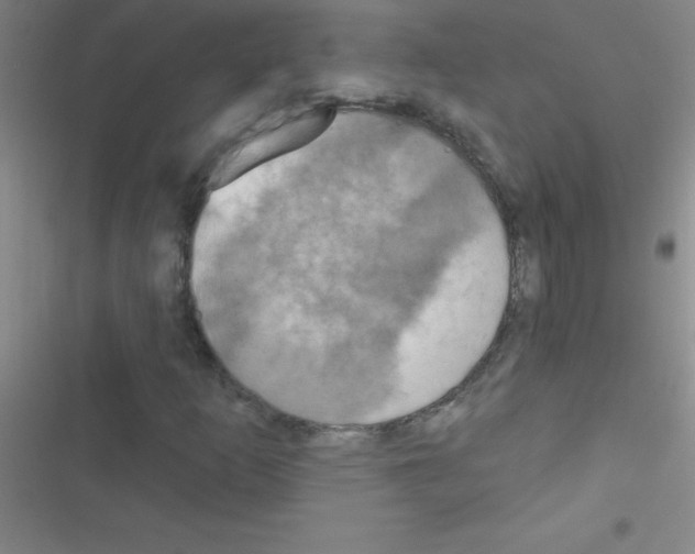 X0000116591253201001211319