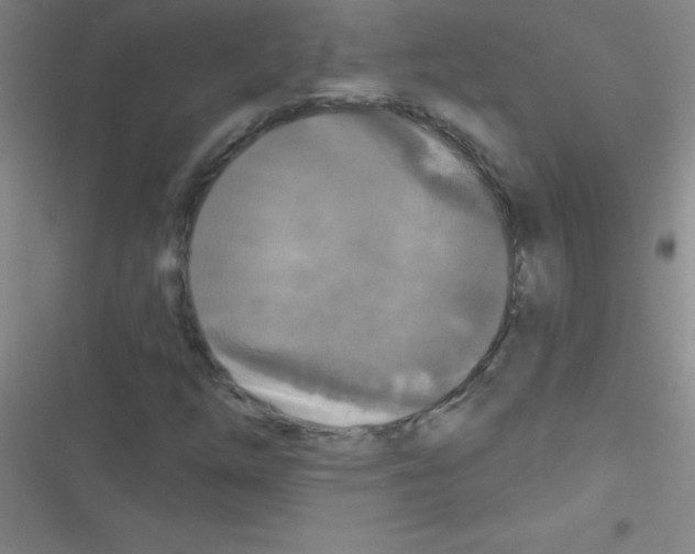 X0000116591254201001211319