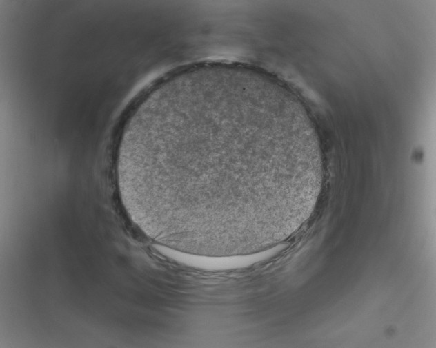 X0000116591256201001211319