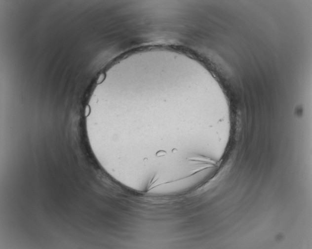 X0000116591257201001211319