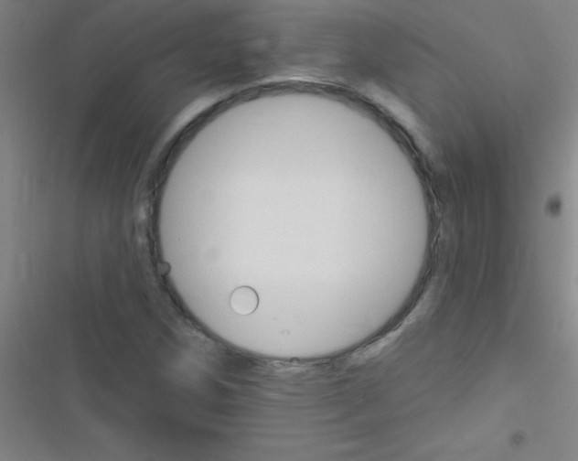 X0000116591258201001211319