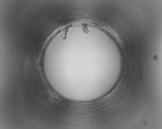 X0000116591260201001211318