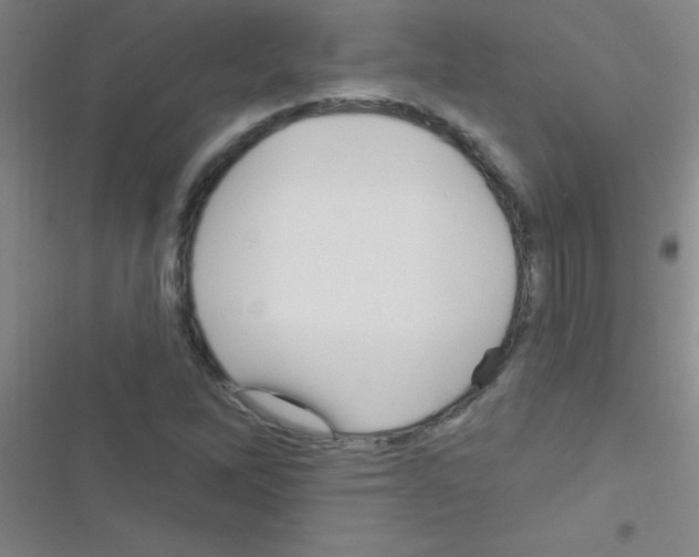 X0000116591262201001211318