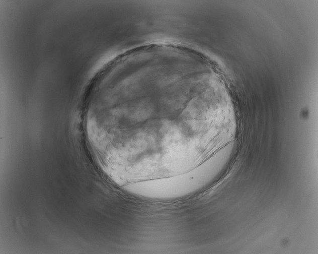 X0000116591263201001211318