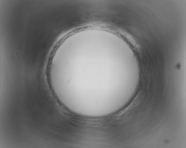 X0000116591264201001211318