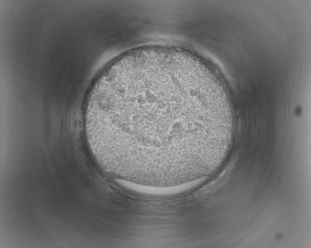 X0000116591267201001211318