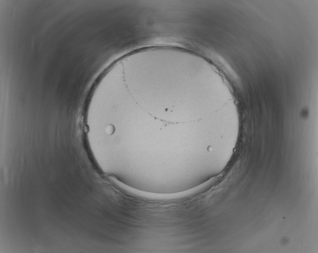 X0000116591268201001211318