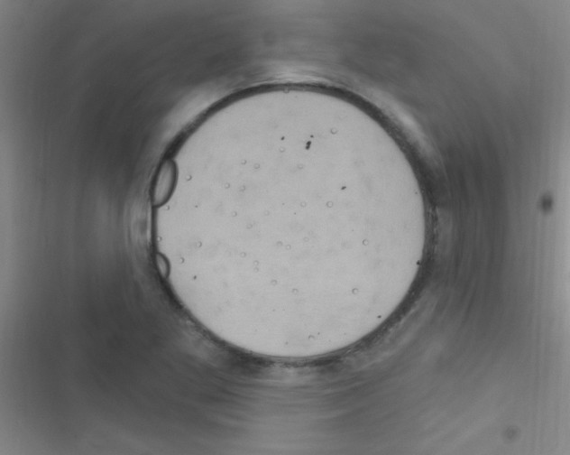 X0000116591269201001211318