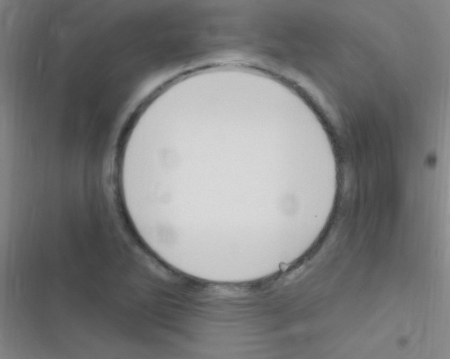 X0000116591270201001211318