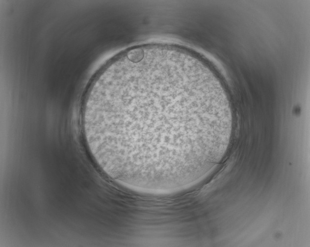 X0000116591271201001211318