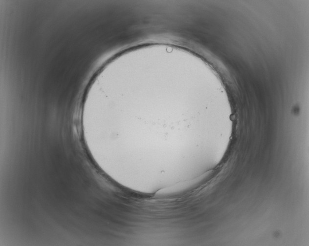 X0000116591272201001211318