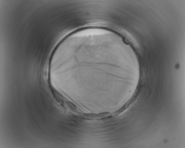 X0000116591276201001211318