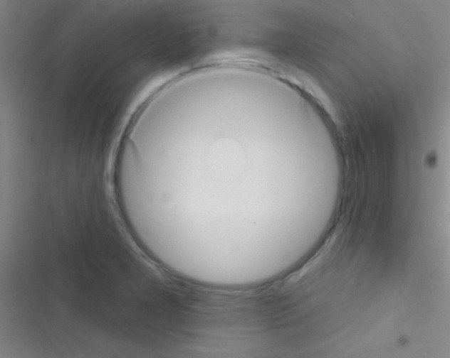 X0000116591277201001211318