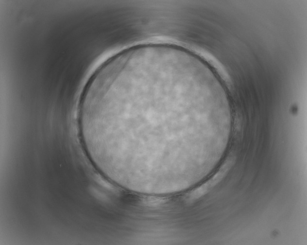 X0000116591278201001211318