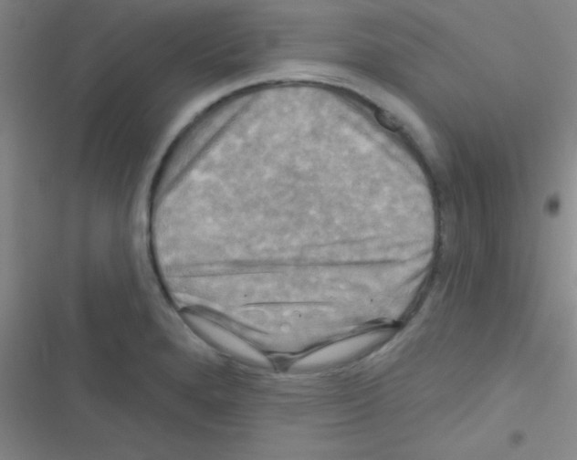 X0000116591280201001211318