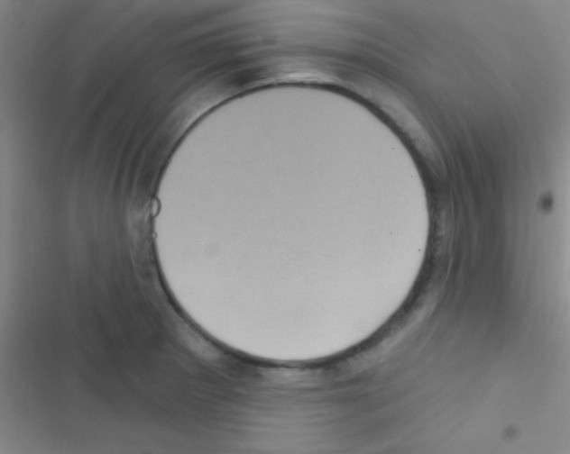 X0000116591281201001211318