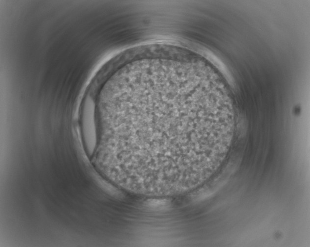 X0000116591283201001211318