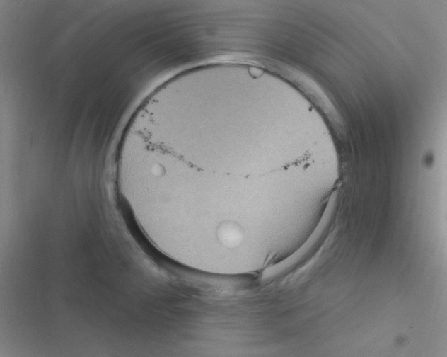 X0000116591284201001211318