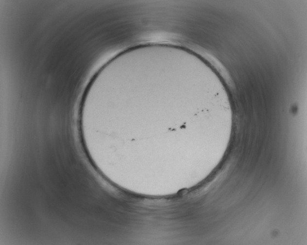 X0000116591285201001211318