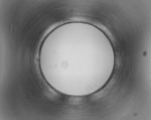 X0000116591286201001211318