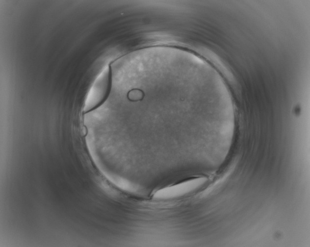 X0000116591289201001211318