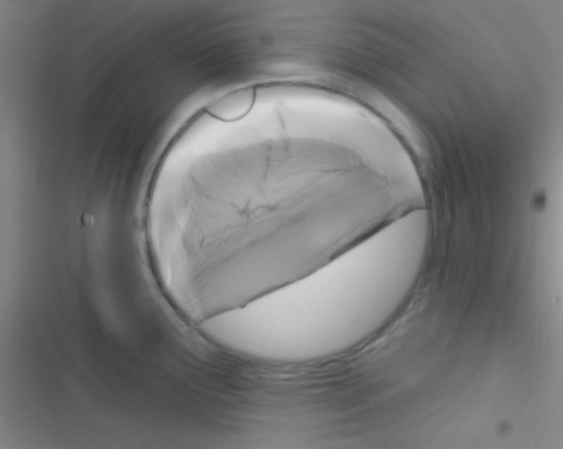 X0000116591291201001211318