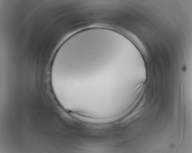 X0000116591292201001211318