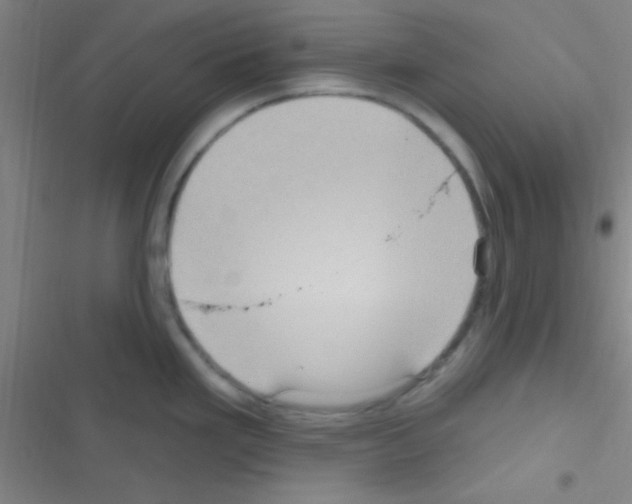 X0000116591293201001211318