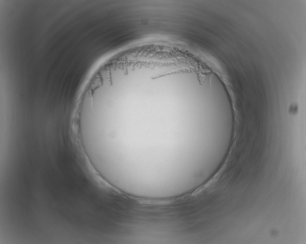 X0000116591296201001211318