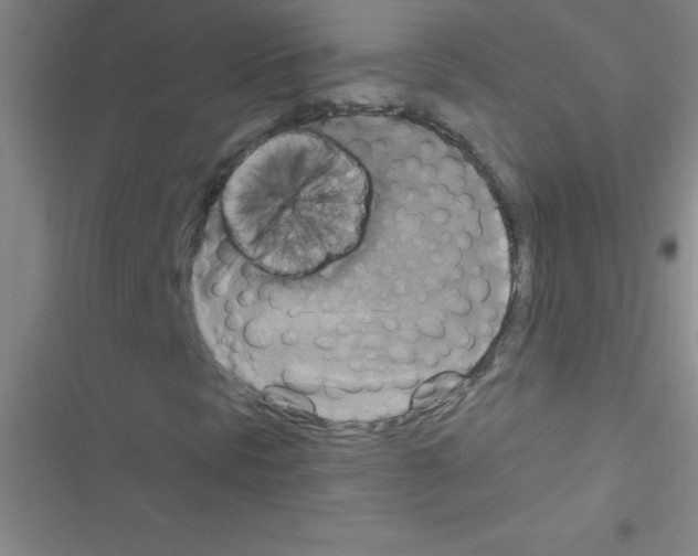 X0000116591297201001211317