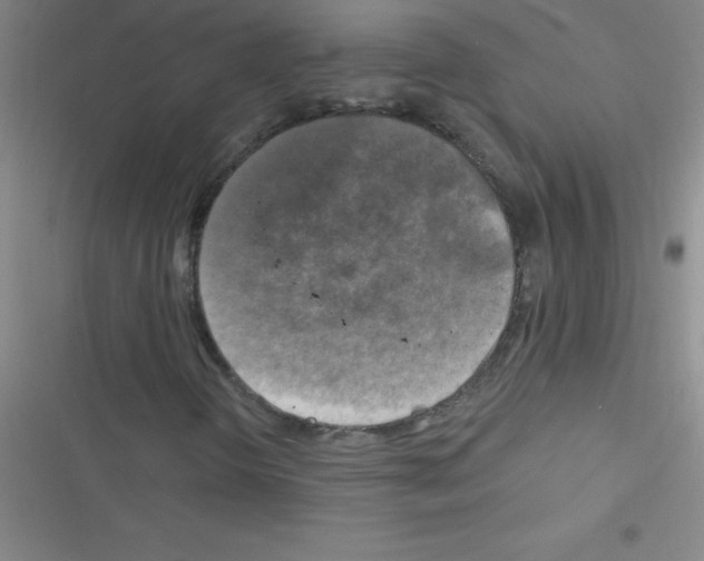 X0000116591298201001211317