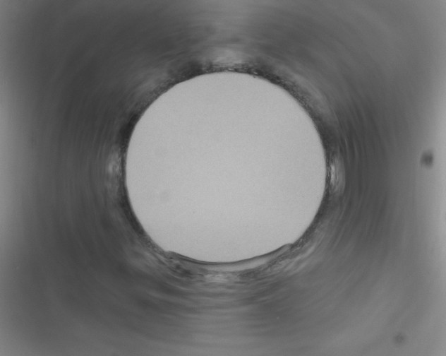 X0000116591299201001211317