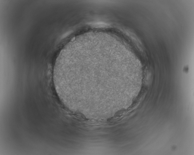 X0000116591301201001211317