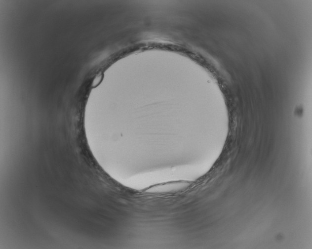 X0000116591303201001211317