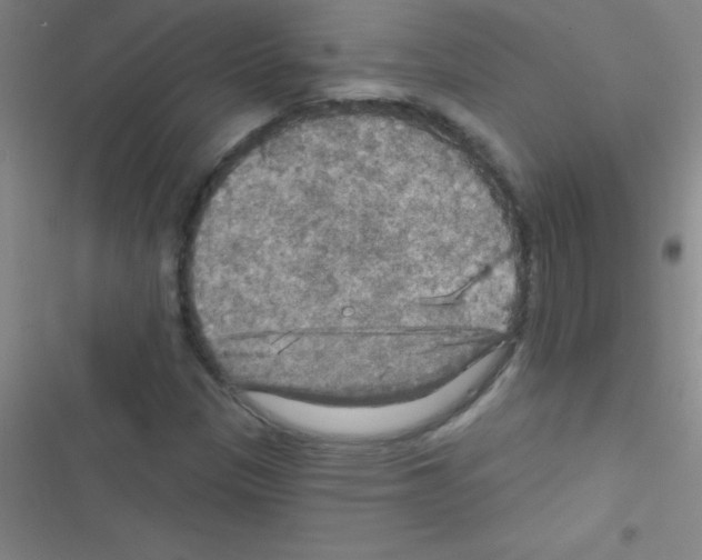 X0000116591305201001211317