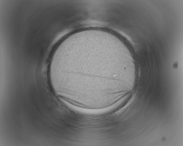 X0000116591309201001211318