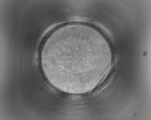 X0000116591310201001211318