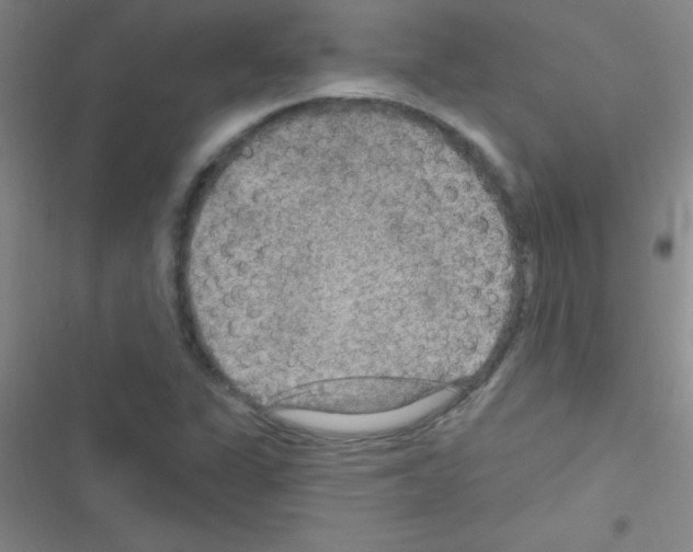 X0000116591311201001211318