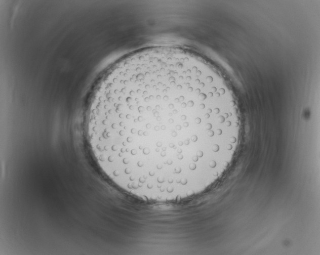 X0000116591315201001211318