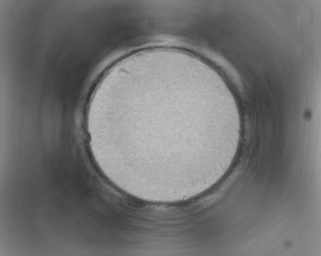 X0000116591318201001211318