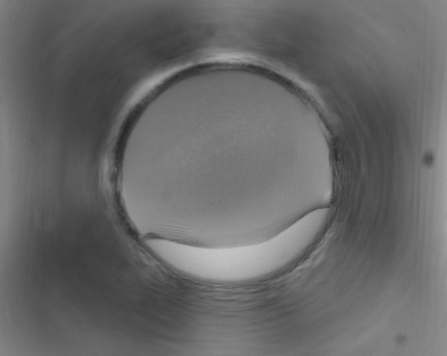 X0000116591319201001211318