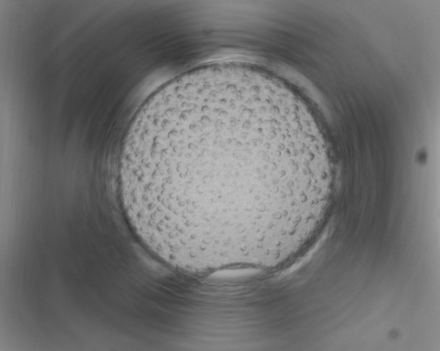 X0000116591321201001211318