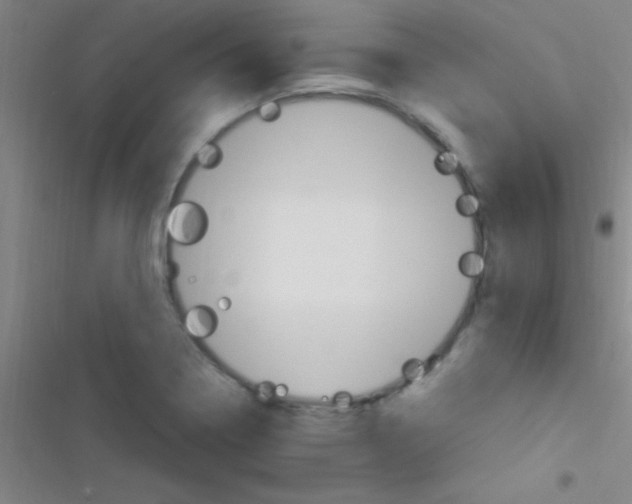 X0000116591322201001211318