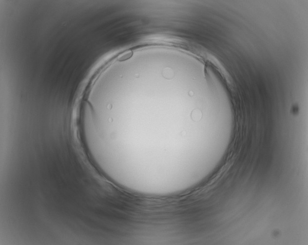 X0000116591323201001211318