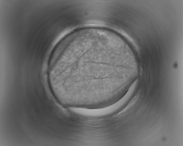 X0000116591325201001211318