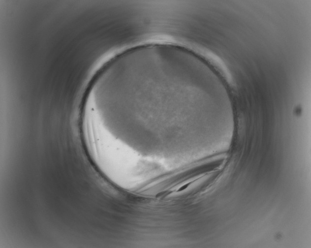 X0000116591326201001211318